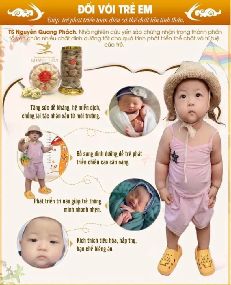 Bé Mấy Tháng Ăn Được Yến Sào?